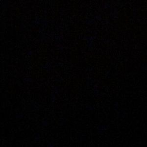 Meet your Posher, Bridget